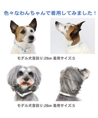 PET PARADISE クールリング 犬 クールネック ひんやり 28℃クールリング 【Ｓ】 リフレクター 水色 ベージュ  反射材付き 水色 Ｓ
