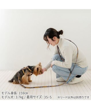 PET PARADISE スヌーピー ショルダーリード 《兄弟柄》  ３Ｓ～Ｓ 小型犬 ブラウン