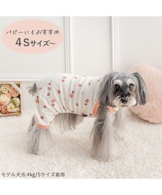 PET PARADISE ペットパラダイス やさしい ロンパース 《花苺柄》 小型犬 ホワイト×レッド