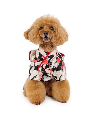PET PARADISE ペットパラダイス 鶴華着物 小型犬 ブラック×レッド