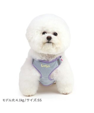 PET PARADISE ディズニー トイ・ストーリー ロッツォ マスコット付き ハーネス ３Ｓ 小型犬 ロッツォ