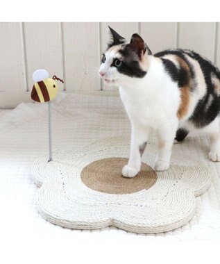 白猫屋 猫ハウス&キャットタワー 四角BOX④横扉丸 ｜ 猫のための木工所