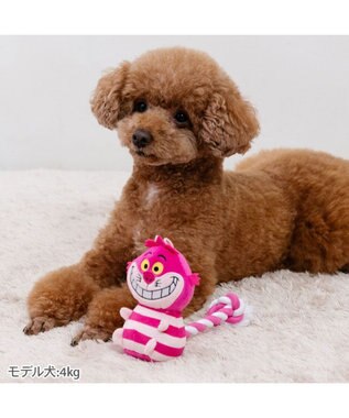 PET PARADISE ディズニー チェシャ猫 ロープトイ チェシャ猫