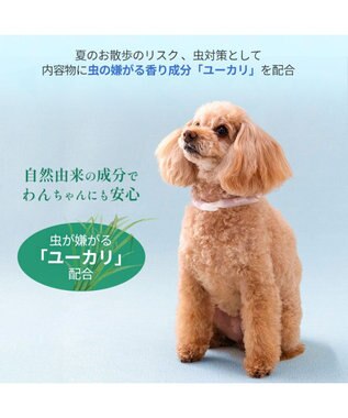 PET PARADISE ペットパラダイス 28℃クールリング  《いちご》 ＳＳ 小型犬 いちご柄
