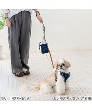 PET PARADISE ペットパラダイス チェック柄 リード ４Ｓ～３Ｓ 小型犬 グリーン