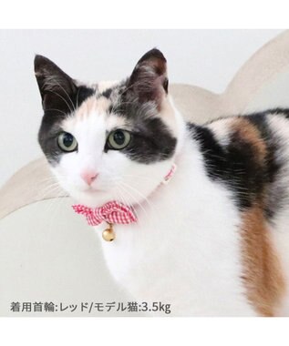 ペットパラダイス 猫 首輪 ギンガムチェック 《レッド》 小