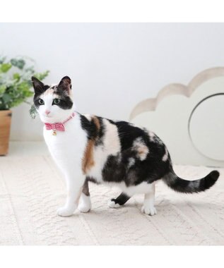 PET PARADISE ペットパラダイス 猫 首輪 ギンガムチェック 《レッド》 小サイズ/中サイズ レッド