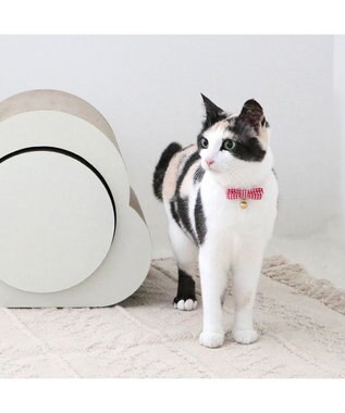 PET PARADISE ペットパラダイス 猫 首輪 ギンガムチェック 《レッド》 小サイズ/中サイズ レッド