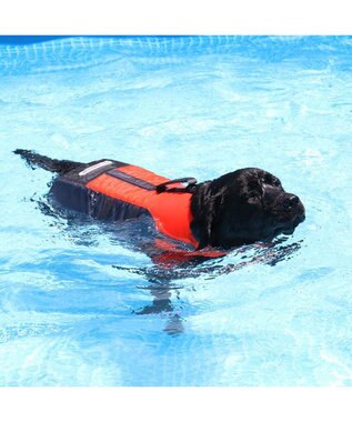 PET PARADISE ペットパラダイス ライフベスト 【Ｌ】 《オレンジ》 オレンジ