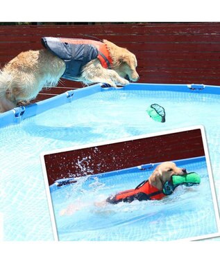 PET PARADISE ペットパラダイス ライフベスト 【Ｌ】 《オレンジ》 オレンジ