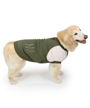 PET PARADISE ペットパラダイス プレミアムペティヒート  切替えタンクトップ 中型犬 大型犬 緑