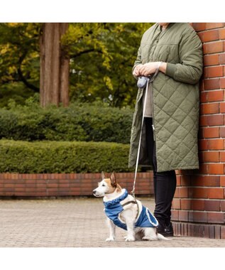 PET PARADISE ペットパラダイス デニム アウターハーネス 小型犬 ブルー