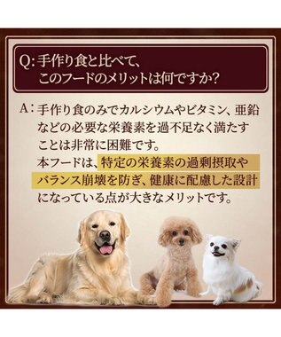 PET PARADISE ペットパラダイス ドッグフード ビオキッチン 3kg 国産 -