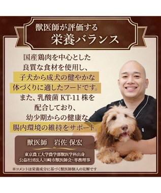 PET PARADISE ペットパラダイス ドッグフード ビオキッチン 3kg 国産 -