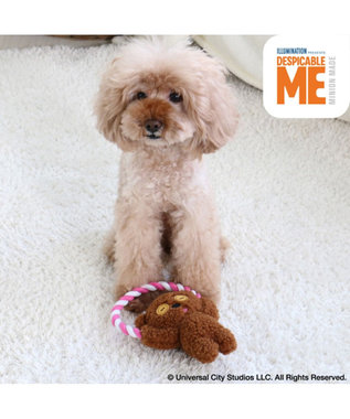 犬用品 ペットグッズ 犬 おもちゃ ペットパラダイス 犬 おもちゃ ロープ ミニオン ティム おうちで遊ぼう おうち時間 犬 おもちゃ オモチャ ペットのペットトイ 玩具 Toy 小型犬 おもちゃ かわいい おもしろ インスタ映え Pet Paradise 通販 雑貨とペット用品の 犬用品 ペットグッズ 犬 おもちゃ ペットパラダイス 犬 おもちゃ ロープ ミニオン ティム おうちで遊ぼう おうち時間 犬 おもちゃ オモチャ ペットのペットトイ 玩具 Toy 小型犬 おもちゃ かわいい おもしろ インスタ映え Pet Paradise 通販 雑貨とペット用品の