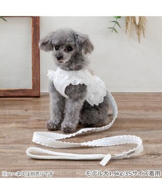 PET PARADISE ペットパラダイス レースフリル リード ４Ｓ～３Ｓ ホワイト