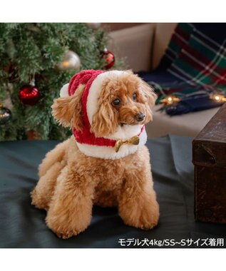 PET PARADISE ペットパラダイス サンタ-帽子 ４Ｓ～３Ｓ/ＳＳ～Ｓ  2026 小型犬 レッド