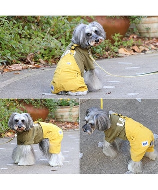 PET PARADISE Lee ワンショルダーパンツつなぎ  小型犬 グリーン