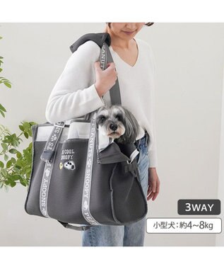PET PARADISE スヌーピー メッシュトート キャリーバック 《グレー》 Ｍ 小型犬