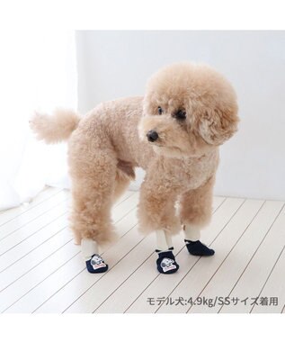 PET PARADISE スヌーピー makokoro スリット 靴下  ＳＳ 小型犬 紺(ネイビー・インディゴ)