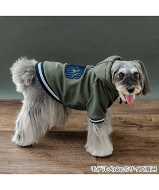 PET PARADISE J.PRESS 立体刺繍パーカー 小型犬 グリーン