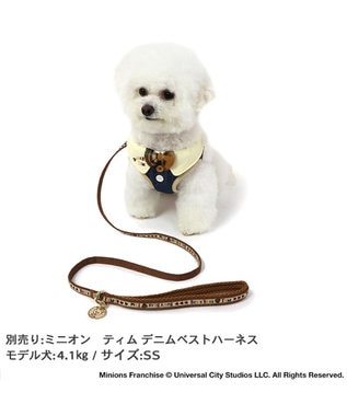 PET PARADISE ミニオン ティム リード 【SS~S】 レトロ柄 小型犬 茶系