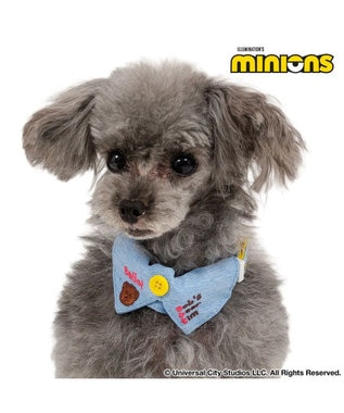 PET PARADISE ミニオン デニム襟付き首輪 SS ブルー