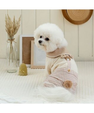 PET PARADISE ペットパラダイス くまちゃん パンツつなぎ 小型犬 ベージュ