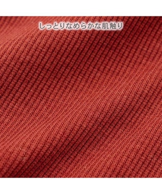 PET PARADISE ペットパラダイス  プレミアム ぺティヒート スキッパーTシャツ 小型犬 レッド