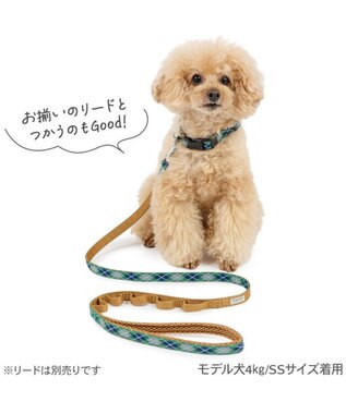 PET PARADISE ペットパラダイス チェック柄 首輪 ＳＳ 小型犬 グリーン