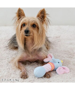 PET PARADISE ディズニー ダンボ ダンベルトイ ブルー