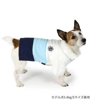 PET PARADISE J.PRESS スキッパーポロシャツ トリコロール 小型犬 ホワイト×ブルー