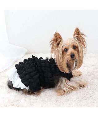 PET PARADISE ペットパラダイス ぽこぽこ ワンピース 《ブラック》 小型犬 ブラック