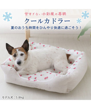 PET PARADISE ペットパラダイス 苺柄 接触冷感 クールカドラーベッド(57×45cm) -