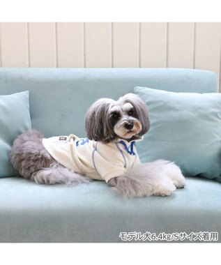 PET PARADISE Lee ステッチパーカー 《ホワイト》 小型犬 ホワイト