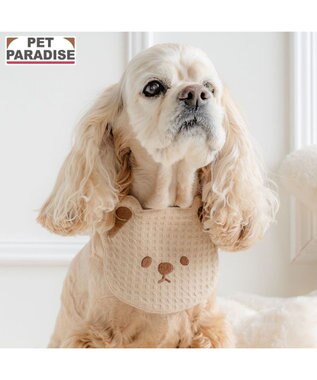 PET PARADISE ペットパラダイス くまさん スタイ 中型犬 大型犬