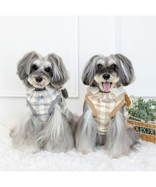 PET PARADISE スヌーピー シブリングス トレーナー 《グレー》 小型犬 グレー