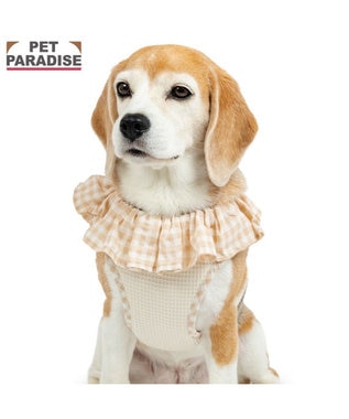 PET PARADISE ペットパラダイス くまちゃん ピエロ襟ベストハーネス ＳＭ