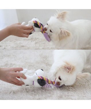 PET PARADISE スヌーピー トイ 《お誕生日 パーティー柄》 パーティー柄