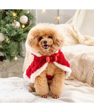 PET PARADISE ペットパラダイス サンタ ポンチョ 2025 小型犬 レッド