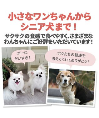 PET PARADISE かぼちゃ ボーロ 160g 大袋 -
