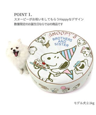 PET PARADISE 【限定250個】スヌーピー 限定 バースデー クッション 白~オフホワイト