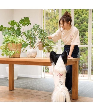 ペットパラダイス　Mai.Kuraki コラボTシャツ ペットパラダイス』 ブランドパートナー倉木麻衣さんとのコラボ