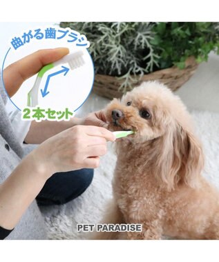 ペット用品 犬 猫 お手入れ ケア用品 ペットパラダイス 犬 歯ブラシ 曲がる 歯ブラシ ２本セット 全犬種対応 犬用歯ブラシ 猫用 ペット用 歯みがき はぶらし ハブラシ 犬 口 ケア 猫 口 ケア Pet Paradise 通販 雑貨とペット用品の通販サイト マザーガーデン