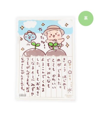 Mother garden しろたん クリアファイル 2枚セット 《らっこいぬの観察日記/ らっこいぬガーデン》 0