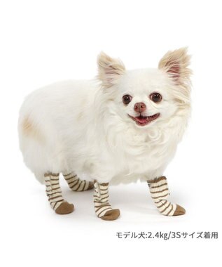PET PARADISE ペットパラダイス makokoro スリット 靴下 《ボーダー》  Ｓ 小型犬 ボーダー