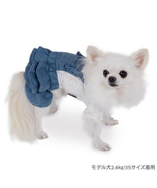 PET PARADISE ペットパラダイス レース襟 パンツつなぎ 小型犬  ホワイト×ネイビー