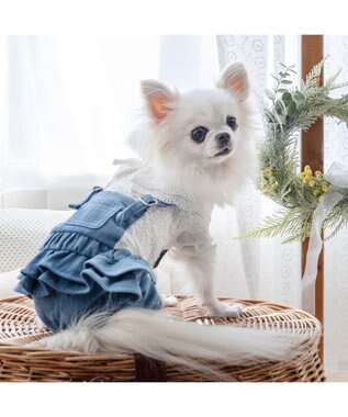 PET PARADISE ペットパラダイス レース襟 パンツつなぎ 小型犬  ホワイト×ネイビー