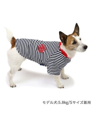 PET PARADISE J.PRESS ソフトボーダー Tシャツ 小型犬 ブラック