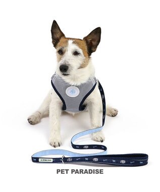 PET PARADISE J.PRESS  ギンガムチェック  ハーネス&リード  ＳＳ 小型犬